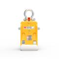 Slab Lifter